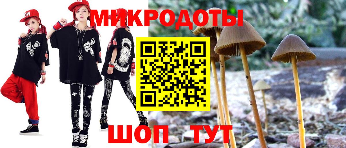 Галлюциногенные грибы мицелий  Псилоцибиновые грибы прущие грибы  Выборг  Вход с VPN 